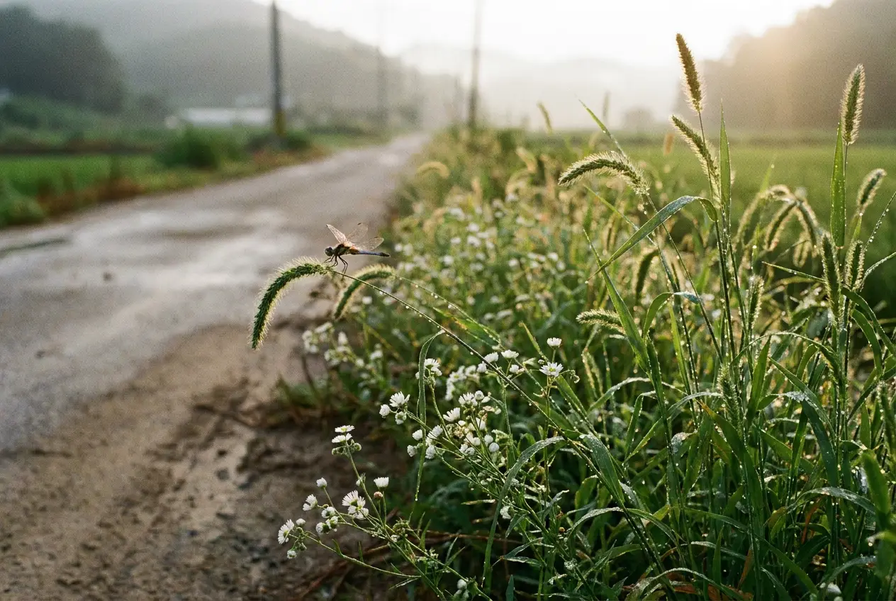 ‘길섶’, 길의 가장자리